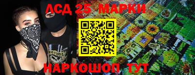 гидропоника Краснознаменск