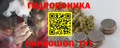 гидропоника Краснознаменск