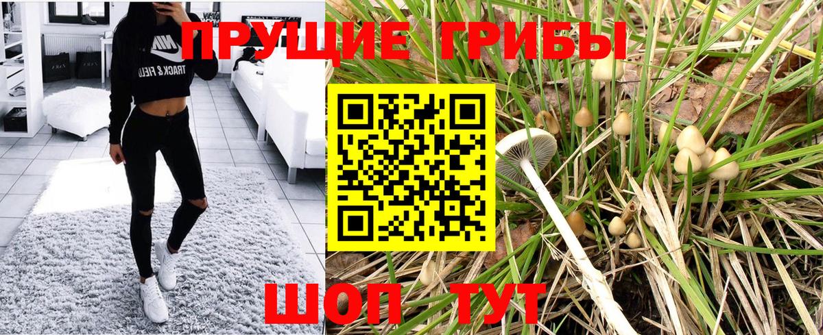 Псилоцибиновые грибы Psilocybe  Вход с VPN  Дубна  Галлюциногенные грибы мицелий 