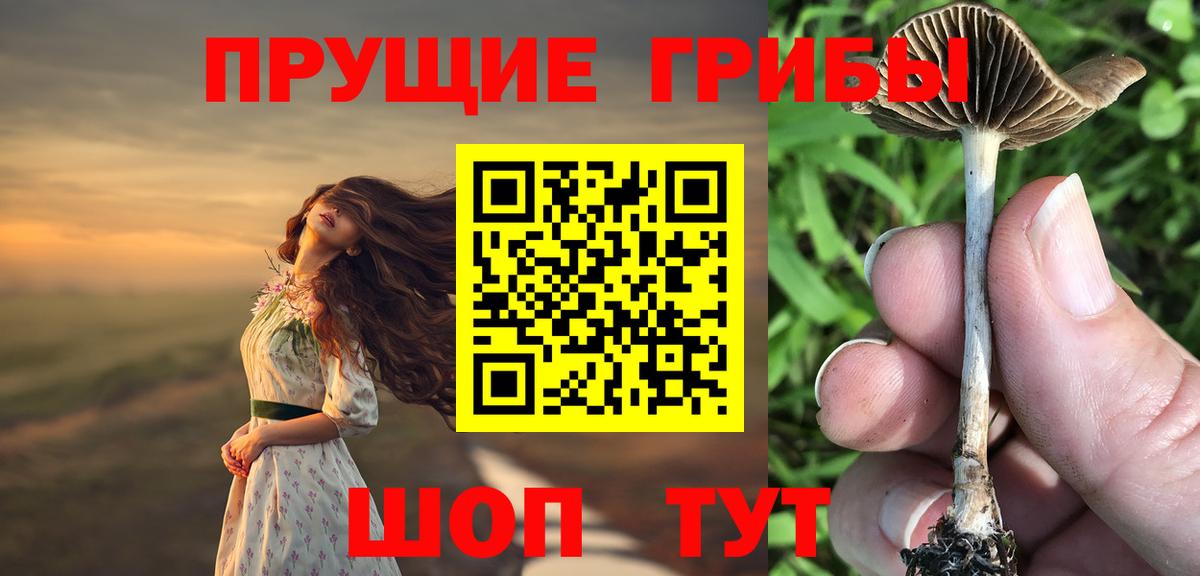 Галлюциногенные грибы Cubensis Дубна